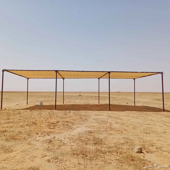 مضلات الإبل 2