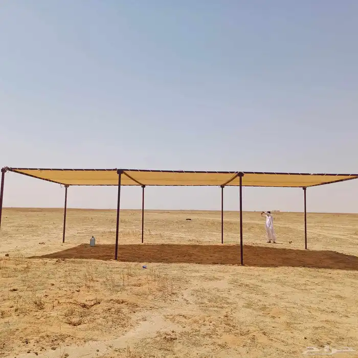 مضلات الإبل 6
