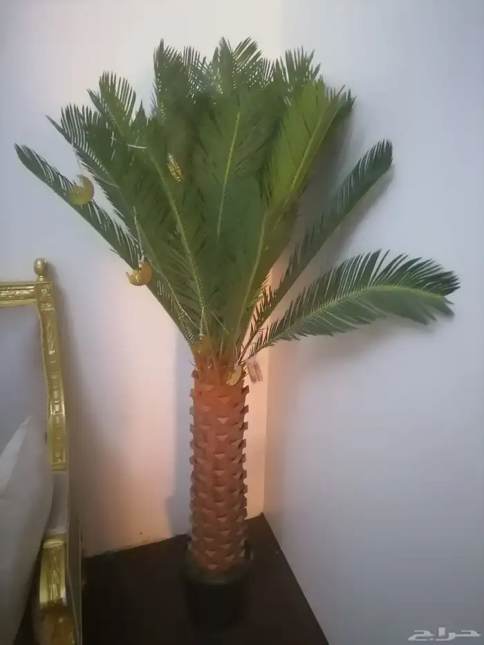 أشجار زينه 2