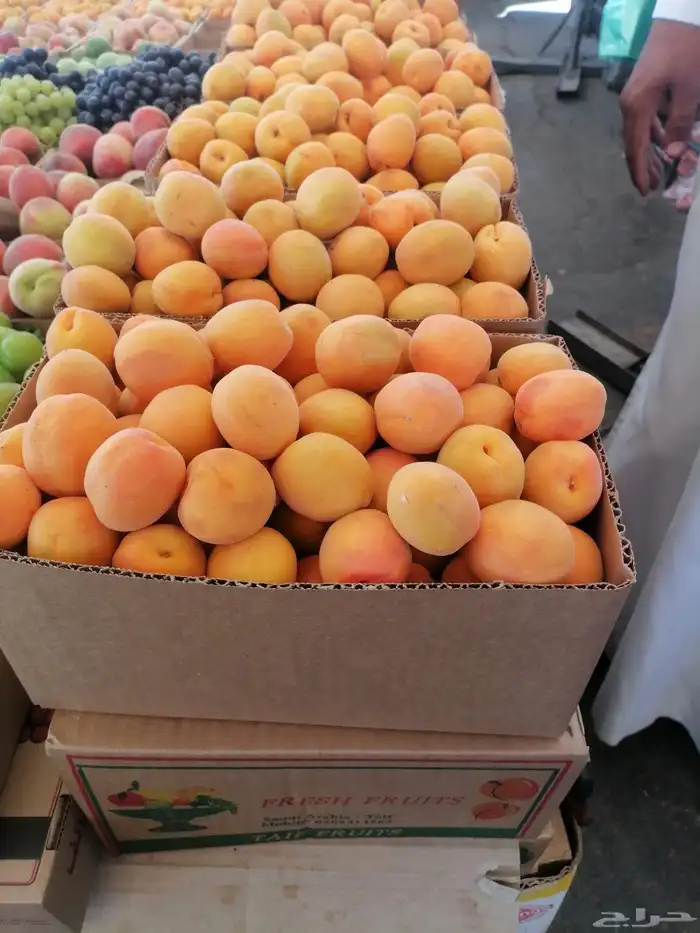 توصيل مجاني فواكه الطايف من الطايف للمنزل بالرياض 8