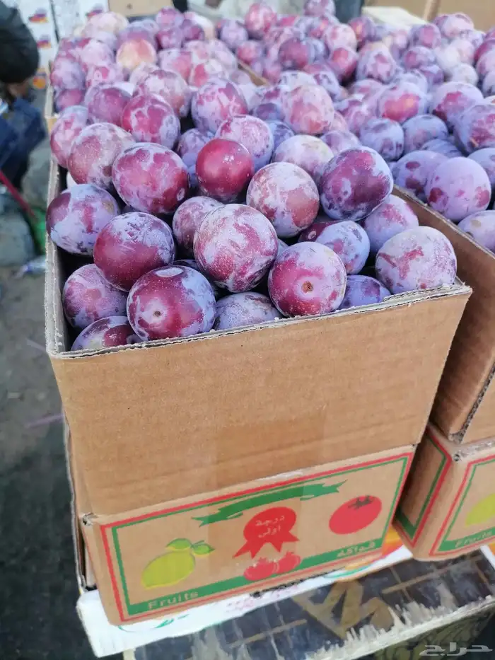 توصيل مجاني فواكه الطايف من الطايف للمنزل بالرياض 1