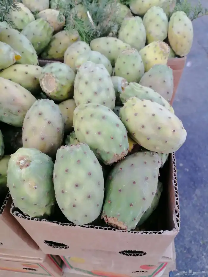 توصيل مجاني فواكه الطايف من الطايف للمنزل بالرياض 0