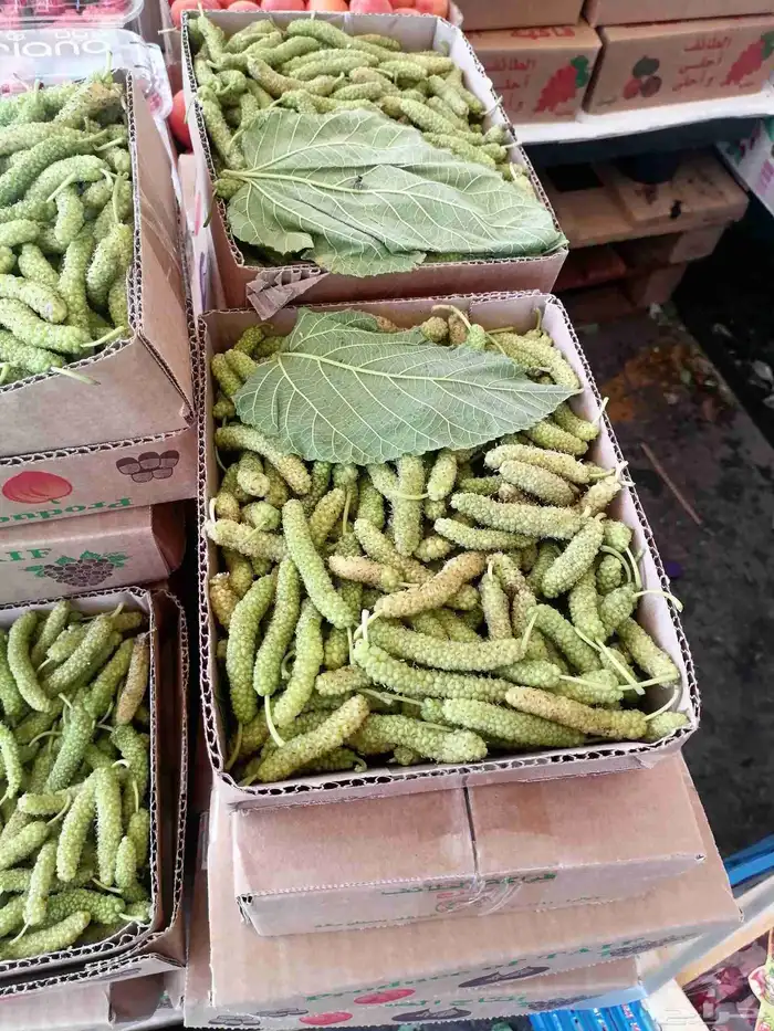 توصيل مجاني فواكه الطايف من الطايف للمنزل بالرياض 9