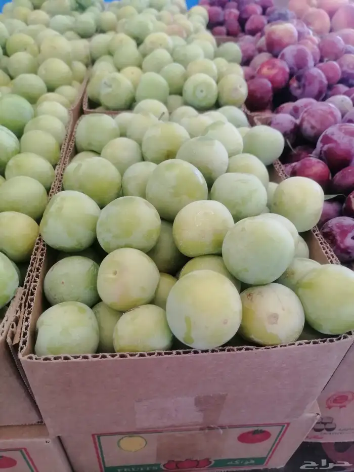 توصيل مجاني فواكه الطايف من الطايف للمنزل بالرياض 5