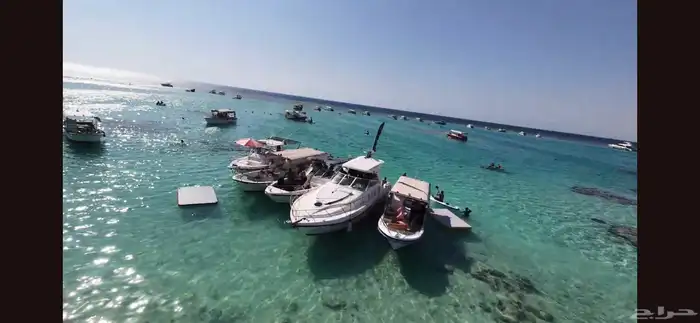 رحلة بحرية جماعية 0