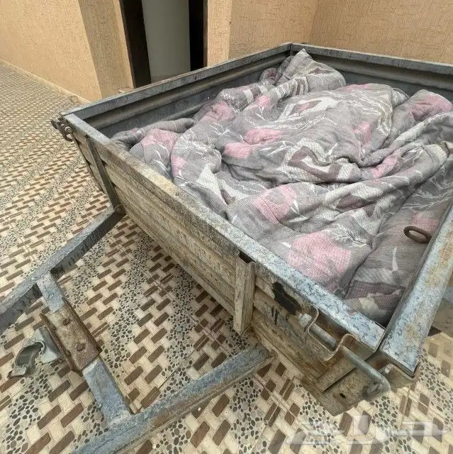 قلص العليان 2