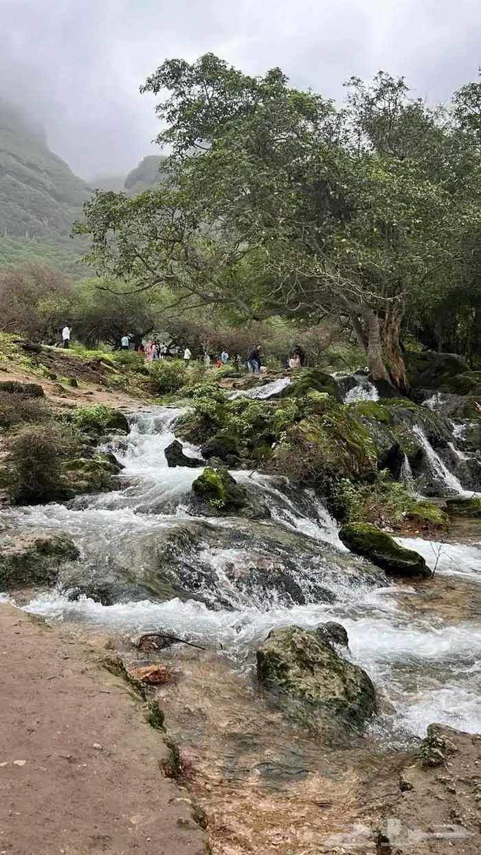جولات سياحية داخل المملكة ودول الخليج 3