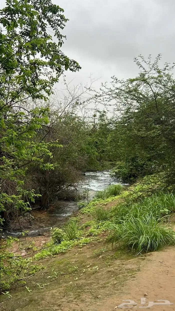 جولات سياحية داخل المملكة ودول الخليج 2