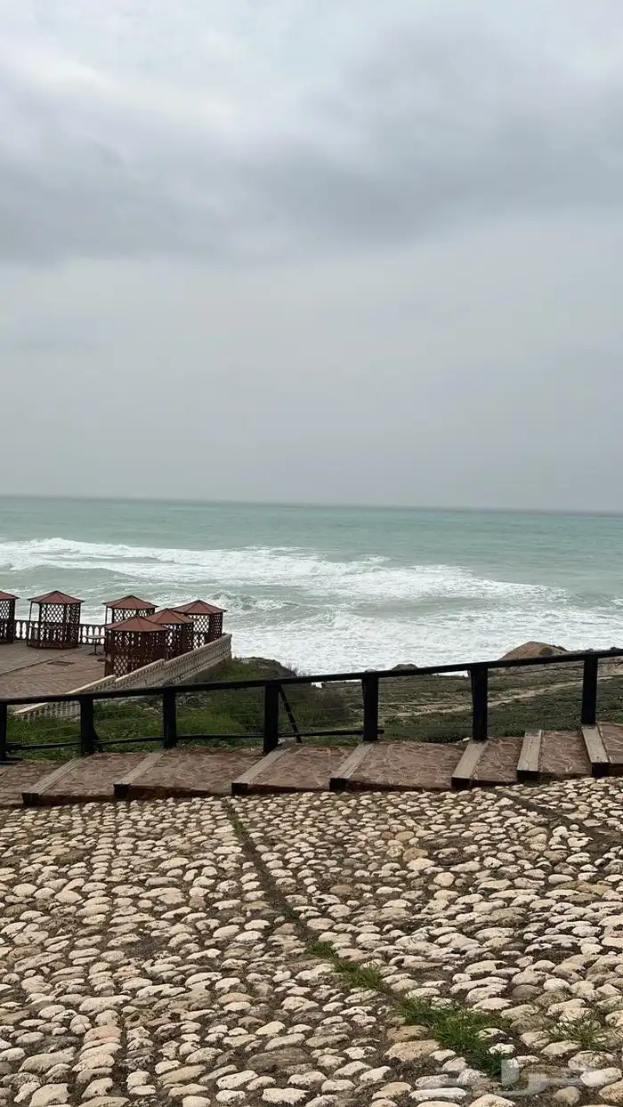 جولات سياحية داخل المملكة ودول الخليج 6
