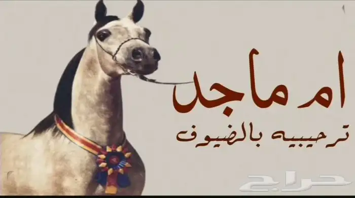 استديو_زفات_ليان_للتنفيذ_الزفات_والشيلة_وتعديل_الاسماء 8