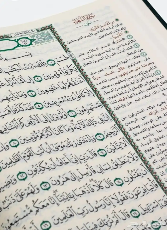 المختصر في تفسير القرآن الكريم 4