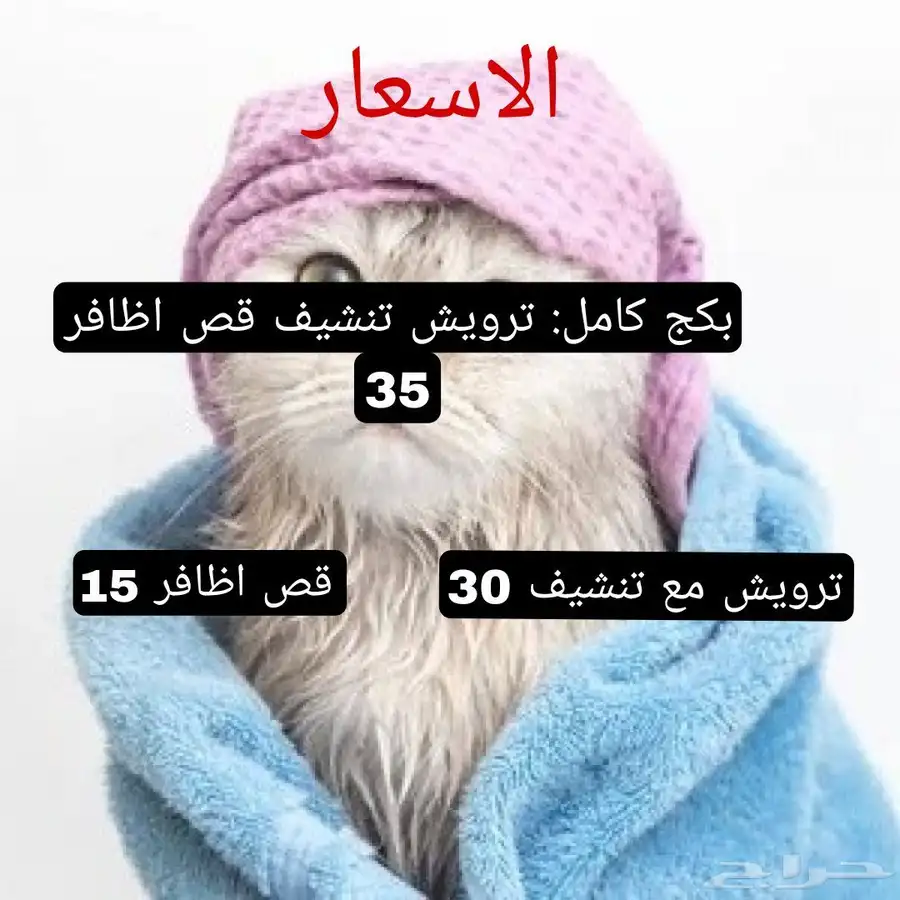 خدمات قطط ترويش وقص اظافر 0