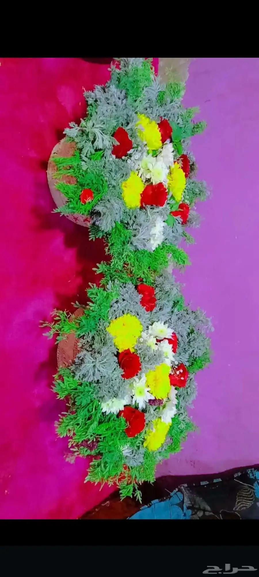 فل الرياض 8