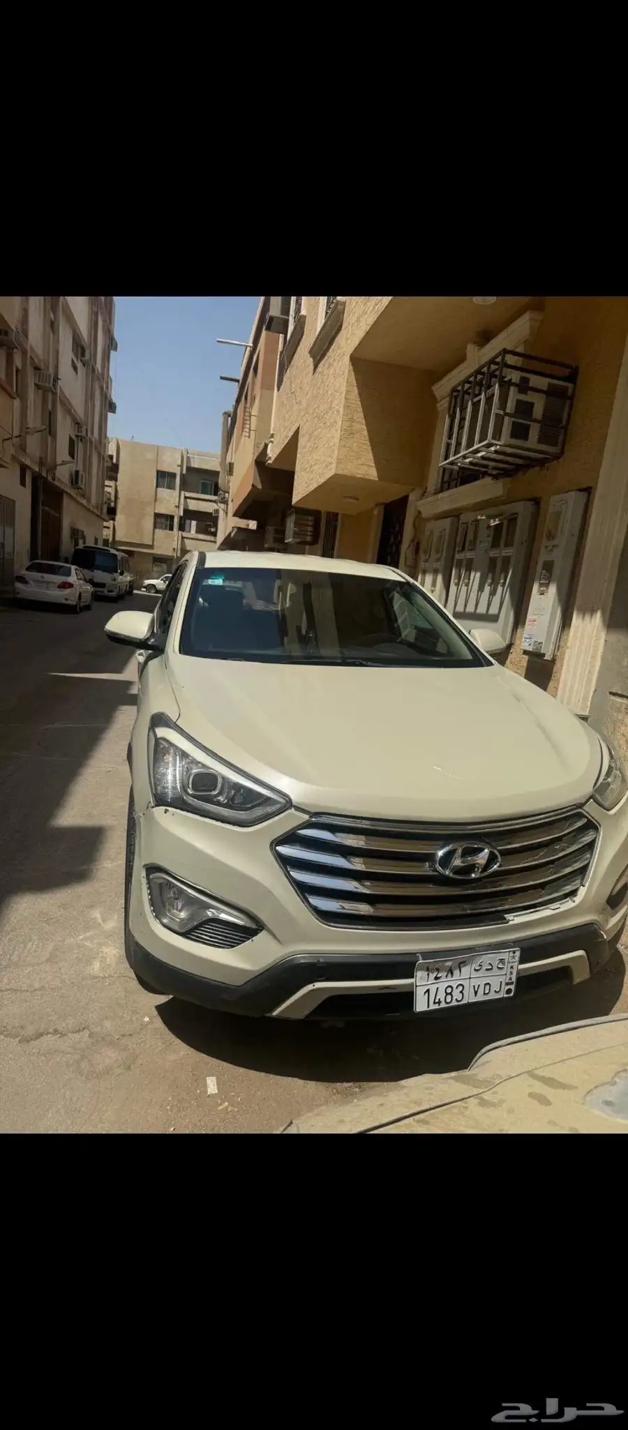 سنتافي 2014 25