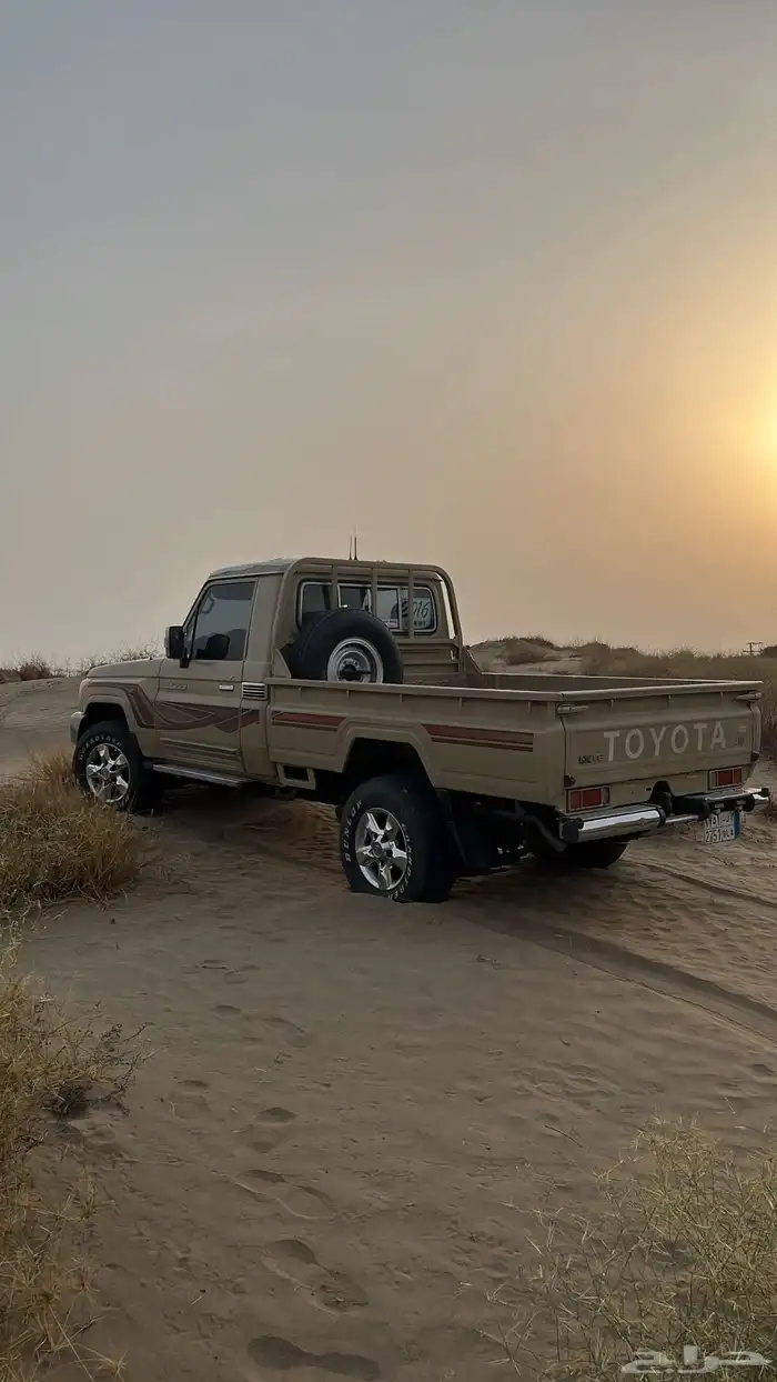 شاص 6
