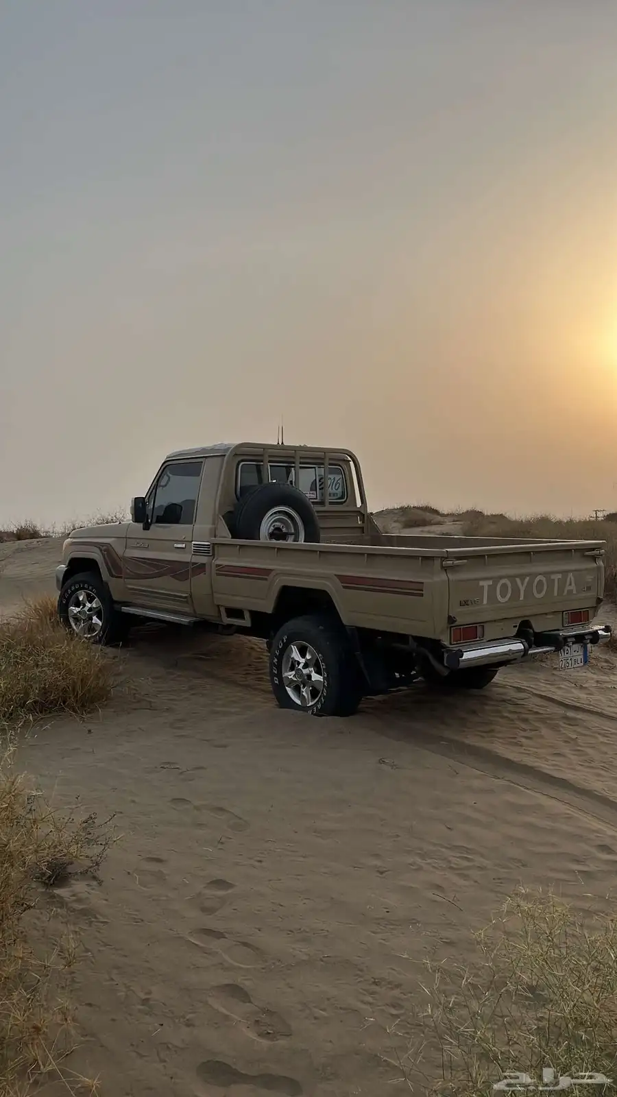 شاص 6