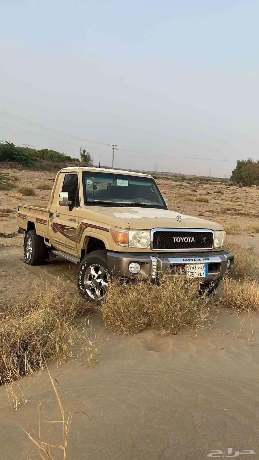شاص 7