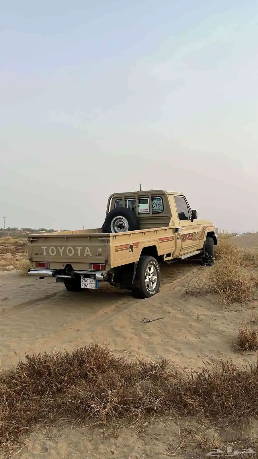 شاص 8