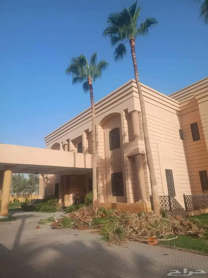 عمال النخل 6