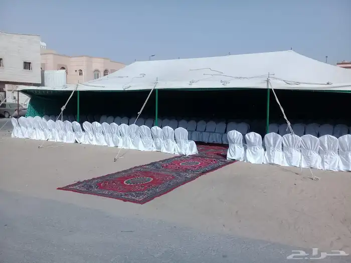 تاجير عقود تاجير كرسي ملكي تاجير كرسي عادي تاجير طاولات 11