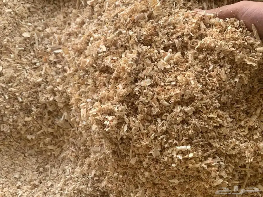 نشارة دواجن للبيع 1