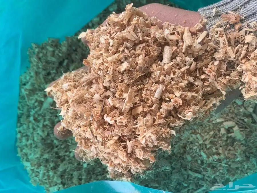 نشارة دواجن للبيع 2