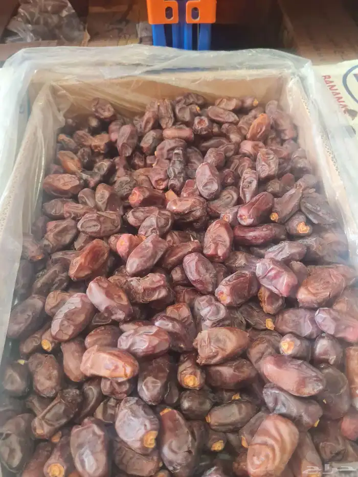 يوجد الدينا صقعي كميات مفتوحه وكذالك يوجد الدينا خظري 2