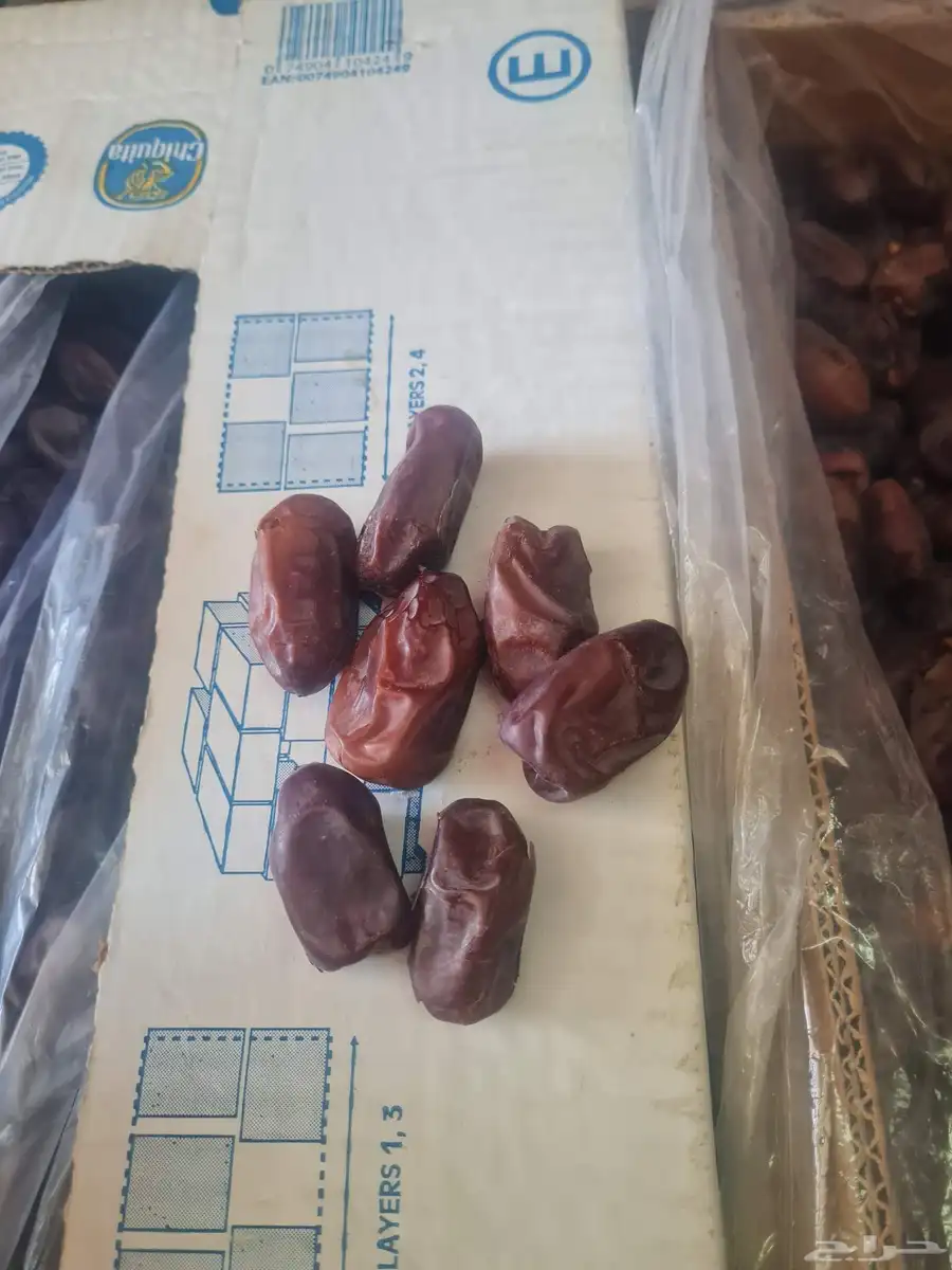 يوجد الدينا صقعي كميات مفتوحه وكذالك يوجد الدينا خظري 1
