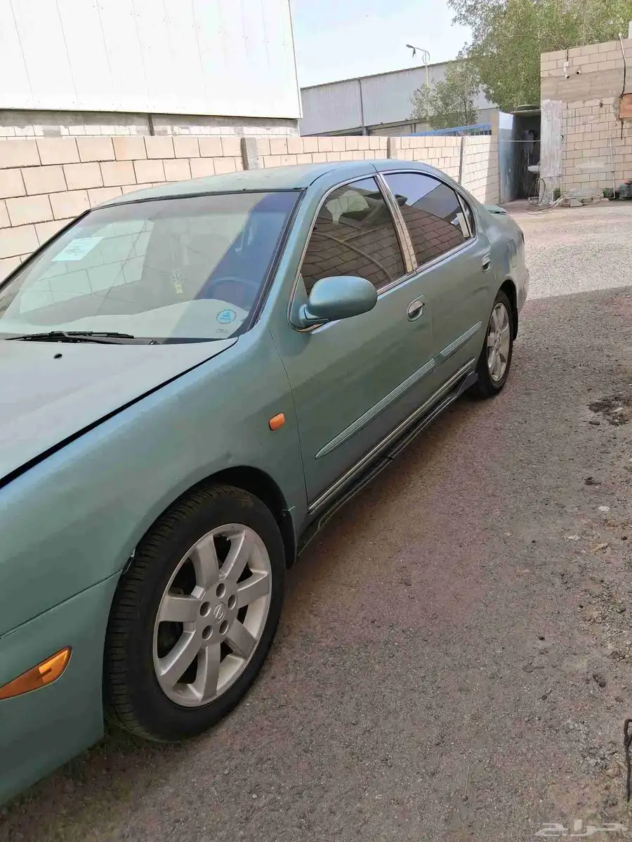 مكسيما 2003 5