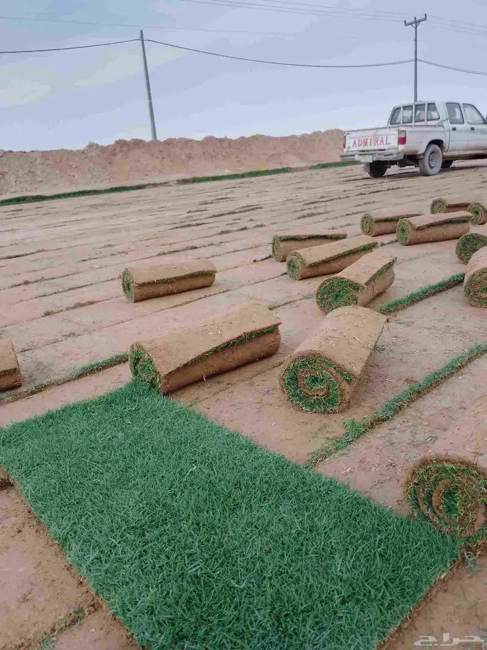 ثيل طبيعي الخرج الدرجه الاولى 9