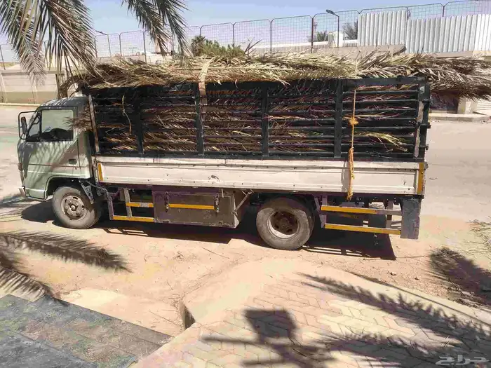 سعف نخيل أخضر جديد للعرايش والمظلات 2