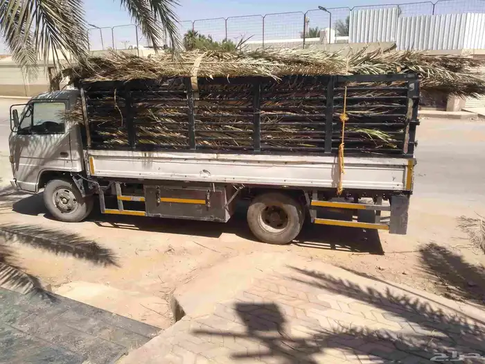 سعف نخيل أخضر جديد للعرايش والمظلات 4