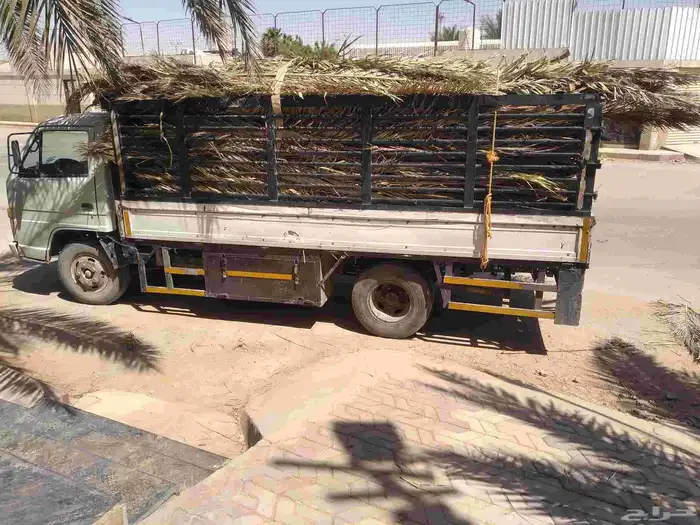 سعف نخيل أخضر جديد للعرايش والمظلات 5