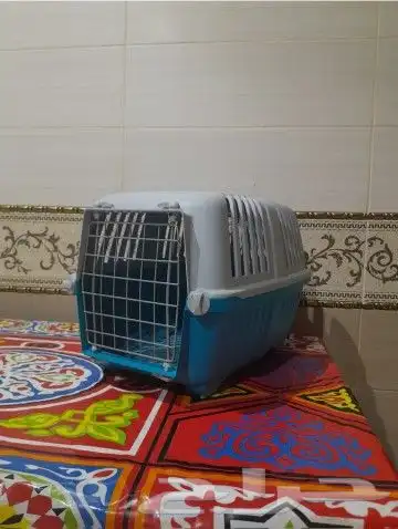 قفص 0
