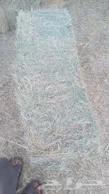 بنوبنك ناعم شد وزن ممتاز 1