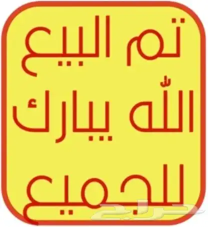 للبيع تيوس قزميات... 3