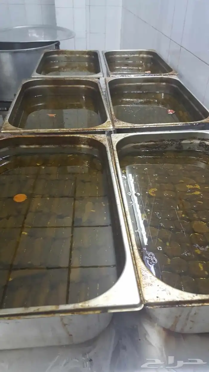 شيف ورق عنب ومحاشي وكبه ومسخن وجميع انواع المحاشي أبحث عن عم 4