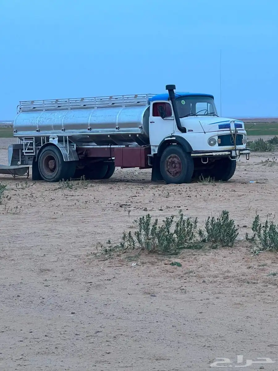 عايدي بوز 24 0