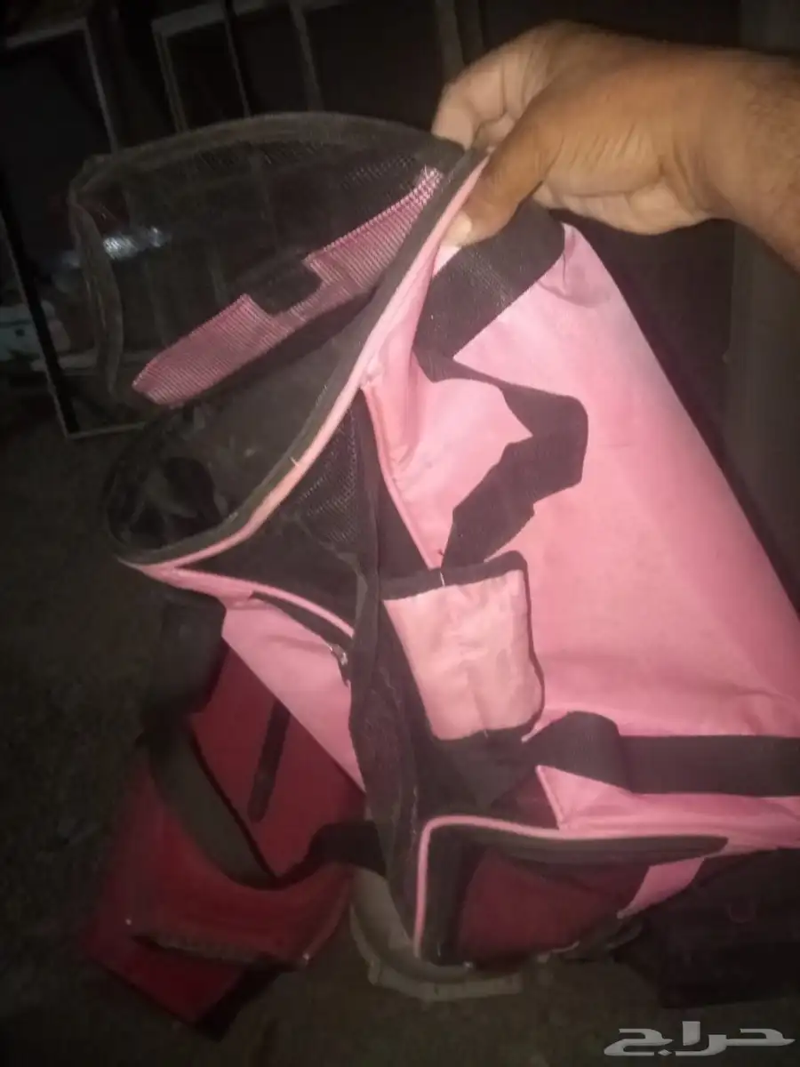 المدينه المنوره 0