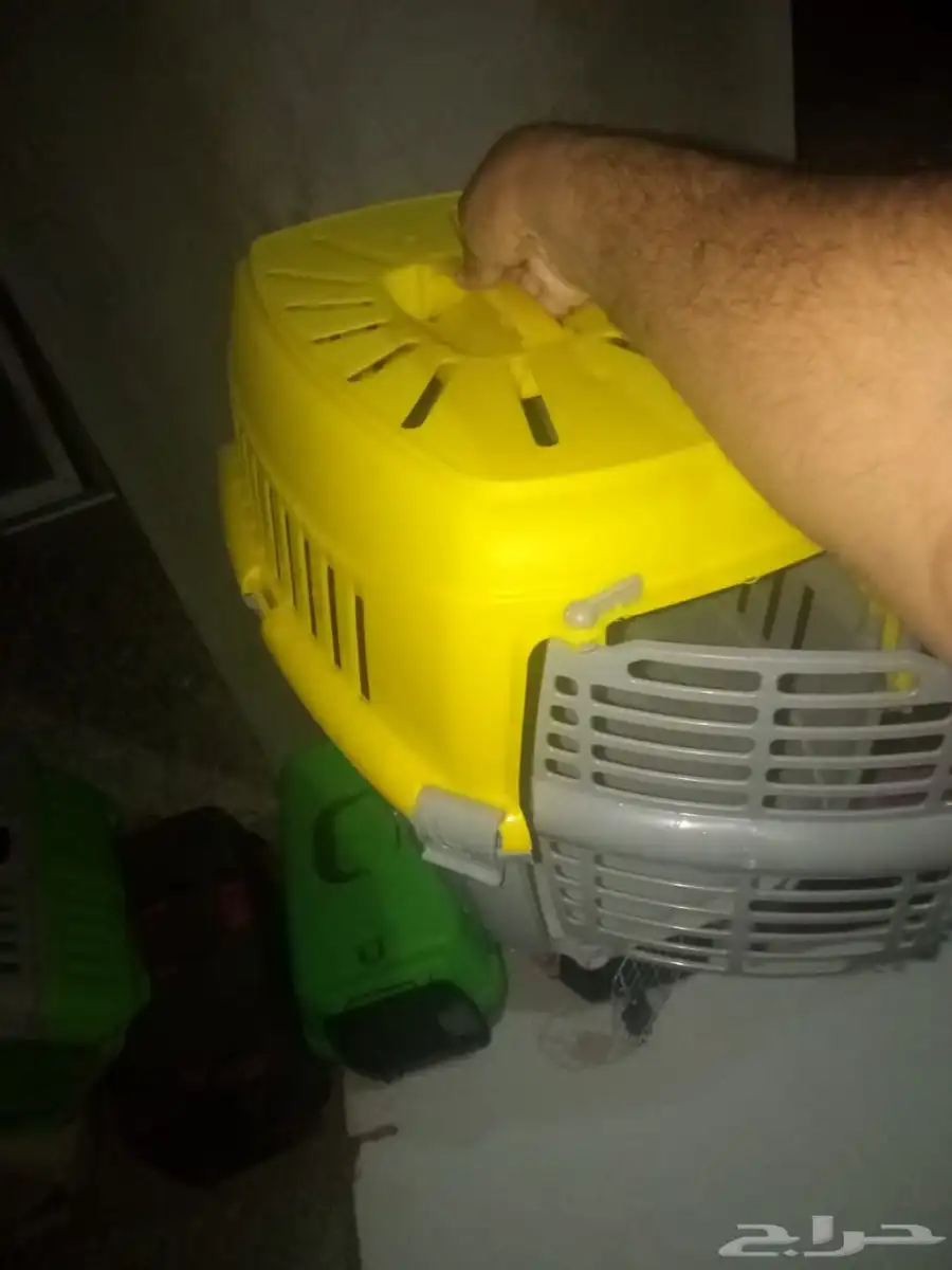 المدينه المنوره 5