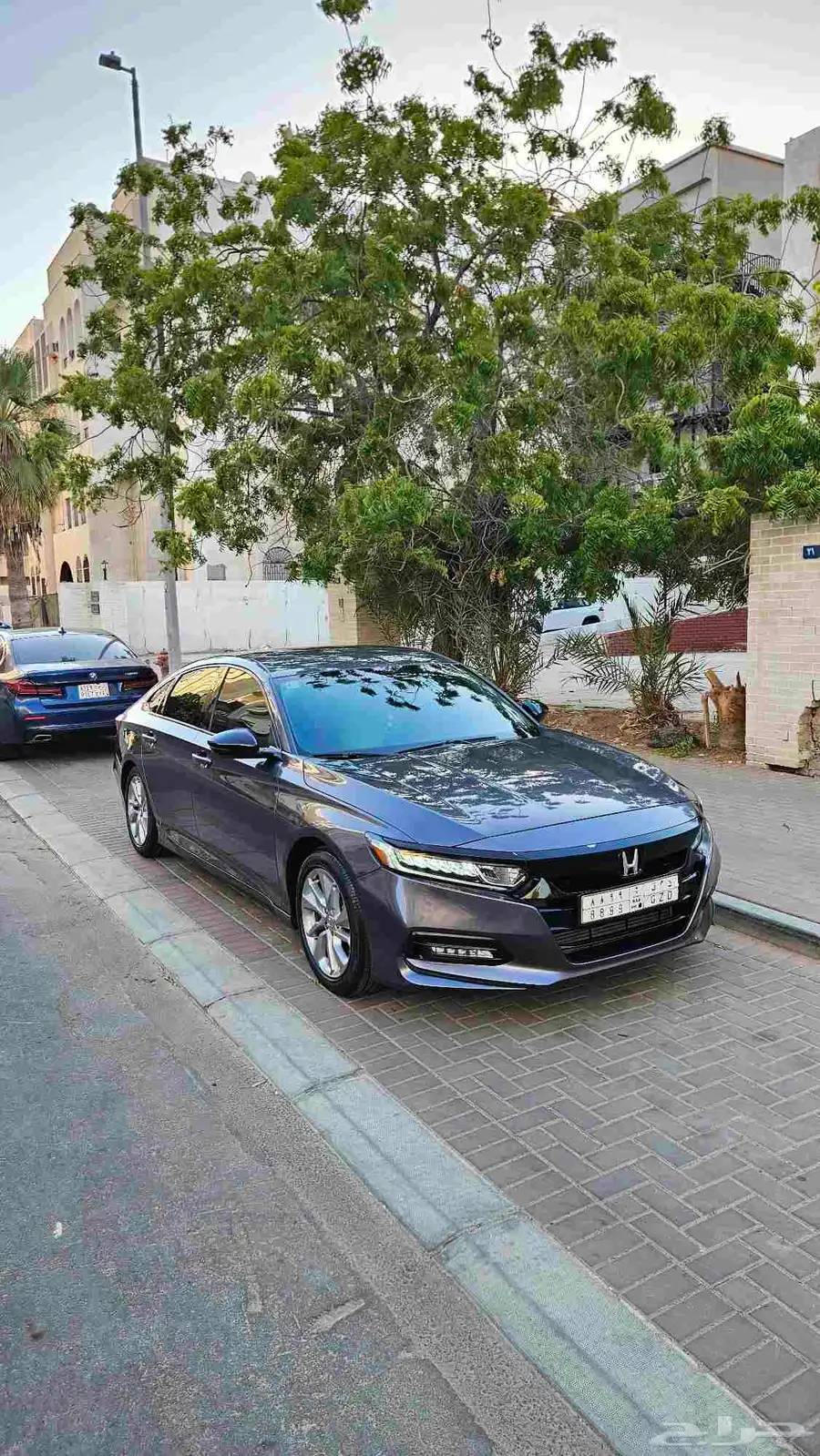 اكورد 2020 ستاندرد 8