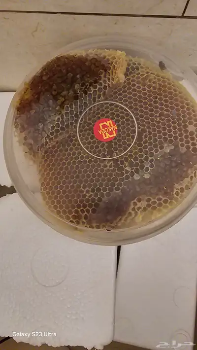 عسل طلحة الباحة 0