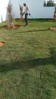 تيل طبيعي 2