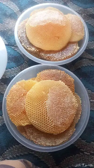 عسل شمع 10 صحون الصحن اثنين كليلو ونصف وثلاثه 0
