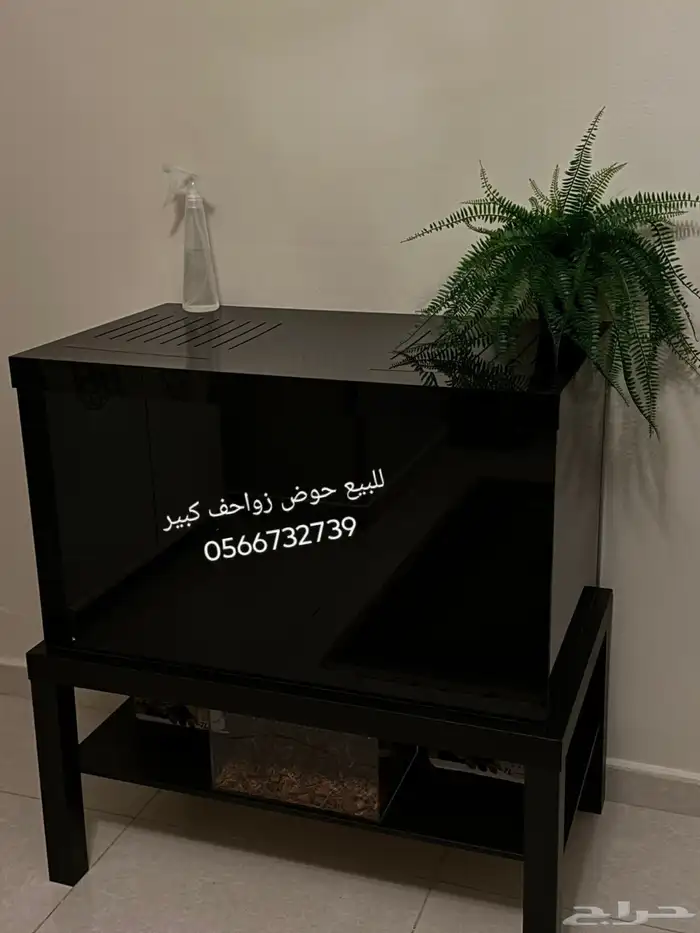 للبيع مستعجل حوض زواحف كبير 1