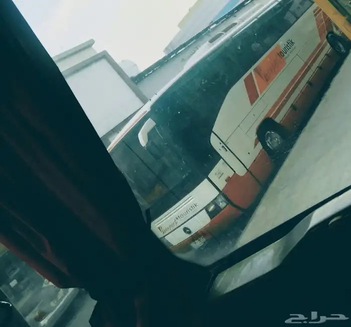 رحلات الى المدينة المنورة 0