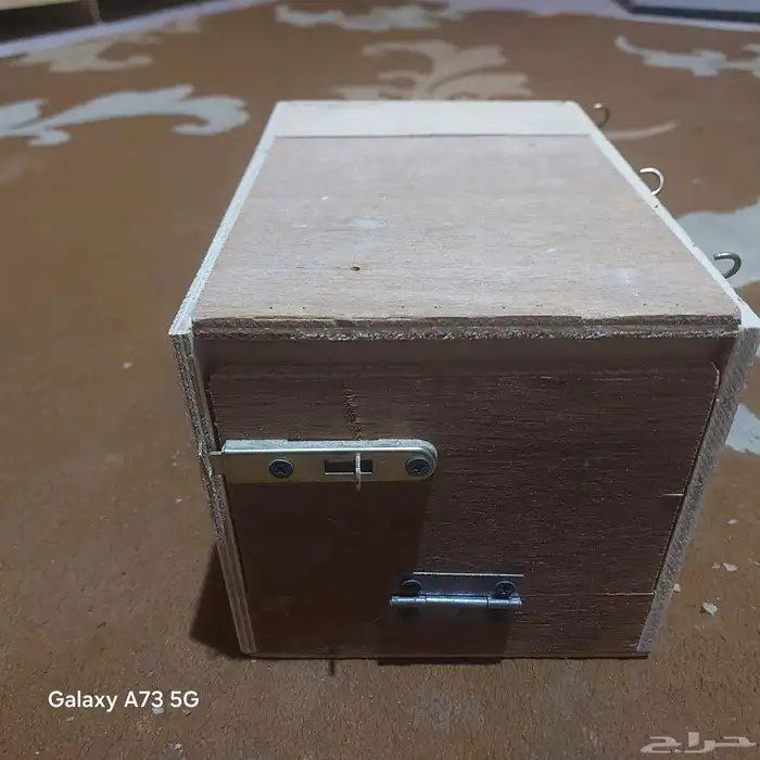 مستلزمات عصافير وببغاء 4