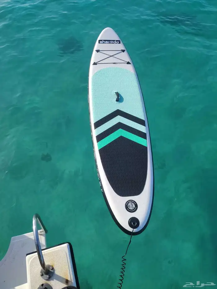 Cruises of all kinds 6