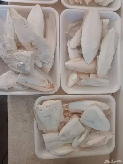 للبيع عظم حبار جديد طازه 2