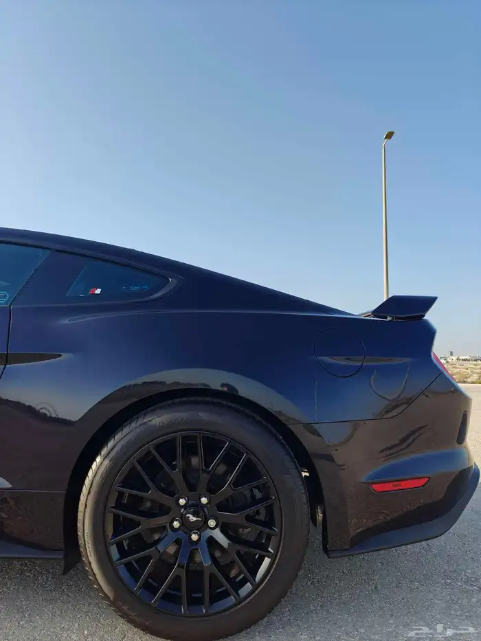 موستنج GT برفومنس بكج مخزن قير عادي 11